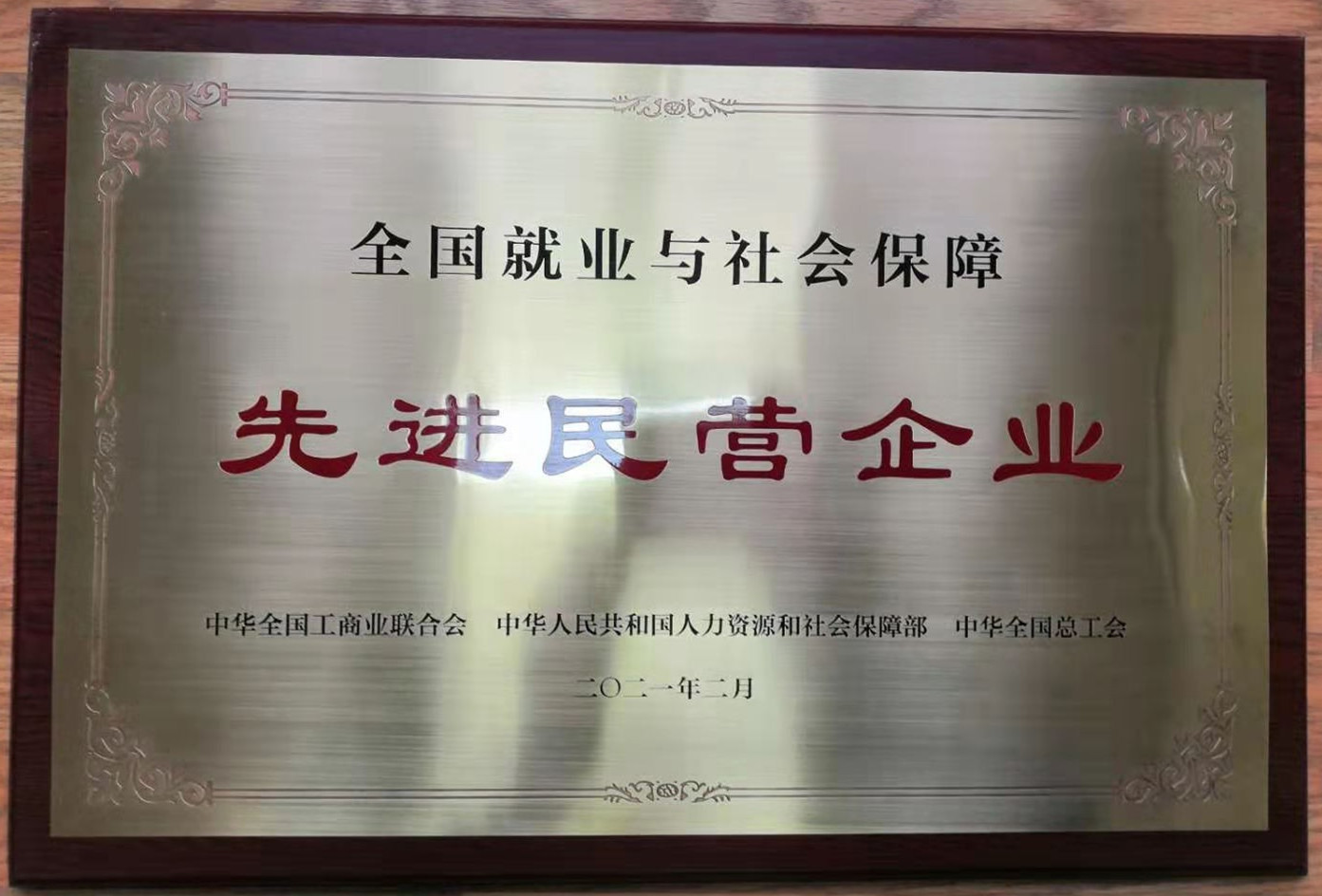 全國就業(yè)與社會(huì)保障先進(jìn)民營企業(yè)